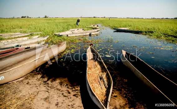 Bild på Landscape in Okavango